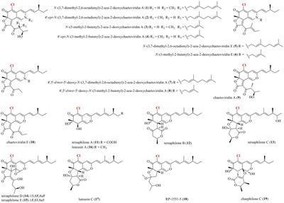 Halometabolites isolated from the marine-derived fungi with potent pharmacological activities